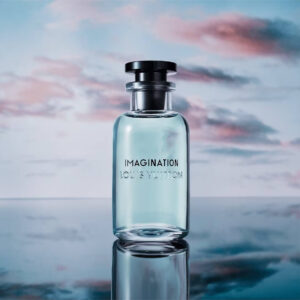 Louis Vuitton imagination hover