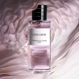 DIOR Gris Dior